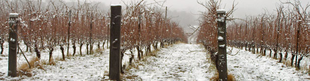 Canobolas Smith Winery in the Orange region