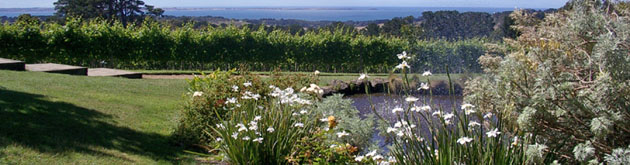 Red Hill Estate Mornington Peninsula