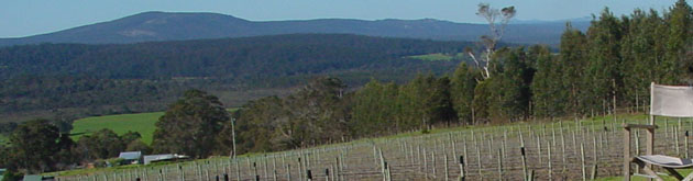 Somerset Hill Winery, Denmark Western Australia