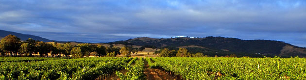 Taltarnie Estate in the Pyrenees Region, Victoria